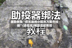 辅助教程“微乐麻将小程序万能开挂器”(透视挂)辅助透视教程