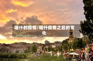 喀什的疫情/喀什疫情之后的变化