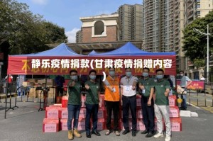 静乐疫情捐款(甘肃疫情捐赠内容)