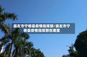 崇左市宁明县疫情指挥部/崇左市宁明县疫情指挥部在哪里