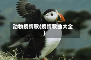 动物疫情歌(疫情歌曲大全)