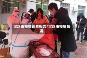 宝鸡市疫情调查报告/宝鸡市疫情情况