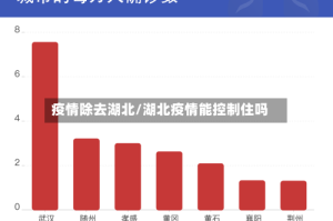 疫情除去湖北/湖北疫情能控制住吗