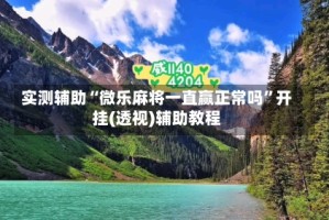 实测辅助“微乐麻将一直赢正常吗”开挂(透视)辅助教程