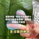 辅助神器“微乐河北麻将小程序万能挂免费版”揭秘透视辅助万能挂