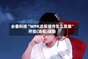 必备科技“WPK透视插件怎么安装”开挂(透视)辅助