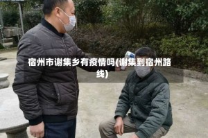宿州市谢集乡有疫情吗(谢集到宿州路线)