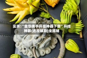 实测!“金华佛手开挂神器下载”开挂神器{透视辅助}全揭秘