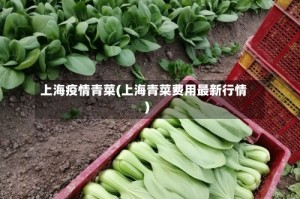 上海疫情青菜(上海青菜费用最新行情)