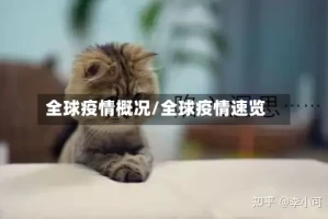 全球疫情概况/全球疫情速览