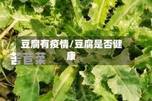豆腐有疫情/豆腐是否健康