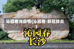 沁园春浅疫情(沁园春·新冠肺炎)