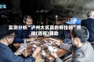 实测分析“泸州大贰真的有挂吗”开挂(透视)辅助