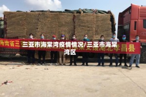 三亚市海棠湾疫情情况/三亚市海棠湾区