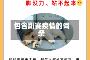 包含趴赛疫情的词条