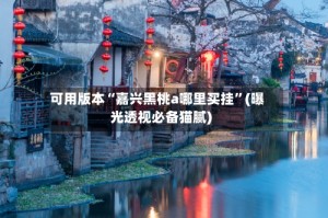 可用版本“嘉兴黑桃a哪里买挂”(曝光透视必备猫腻)