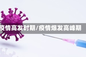 疫情高发时期/疫情爆发高峰期