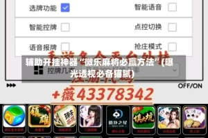 辅助开挂神器“微乐麻将必赢方法”(曝光透视必备猫腻)