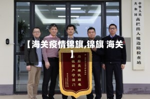 【海关疫情锦旗,锦旗 海关】