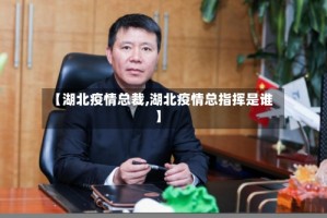 【湖北疫情总裁,湖北疫情总指挥是谁】