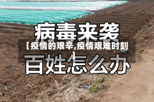 【疫情的艰辛,疫情艰难时刻】