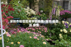 深圳市福田区福宇轩疫情/深圳 福田区 疫情