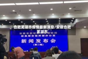 合肥芜湖市疫情最新消息/安徽合肥芜湖市