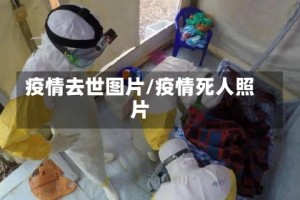 疫情去世图片/疫情死人照片