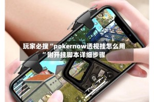 玩家必搜“pokernow透视挂怎么用”附开挂脚本详细步骤