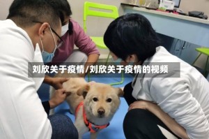 刘欣关于疫情/刘欣关于疫情的视频