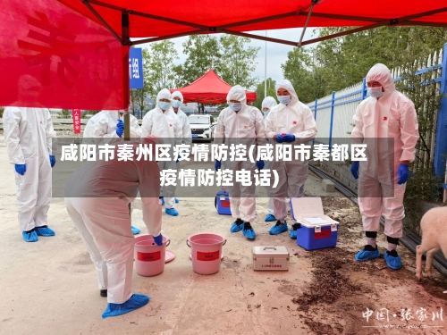 咸阳市秦州区疫情防控(咸阳市秦都区疫情防控电话)-第1张图片