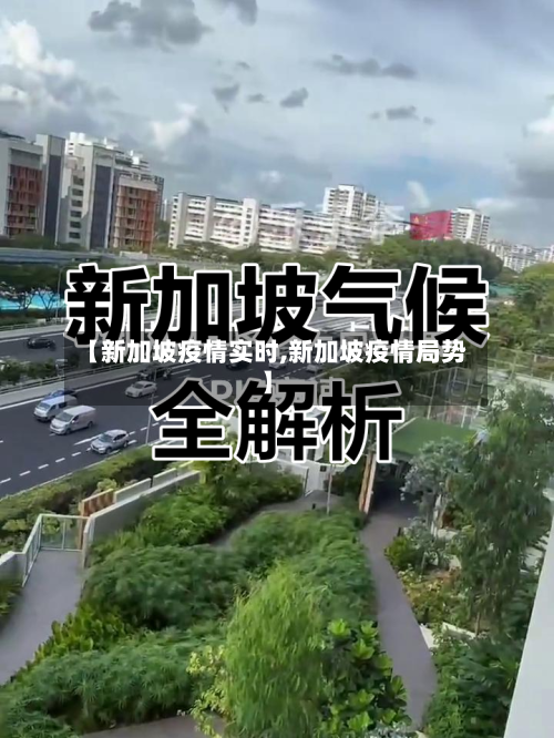 【新加坡疫情实时,新加坡疫情局势】-第2张图片