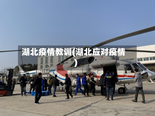 湖北疫情教训(湖北应对疫情)-第1张图片