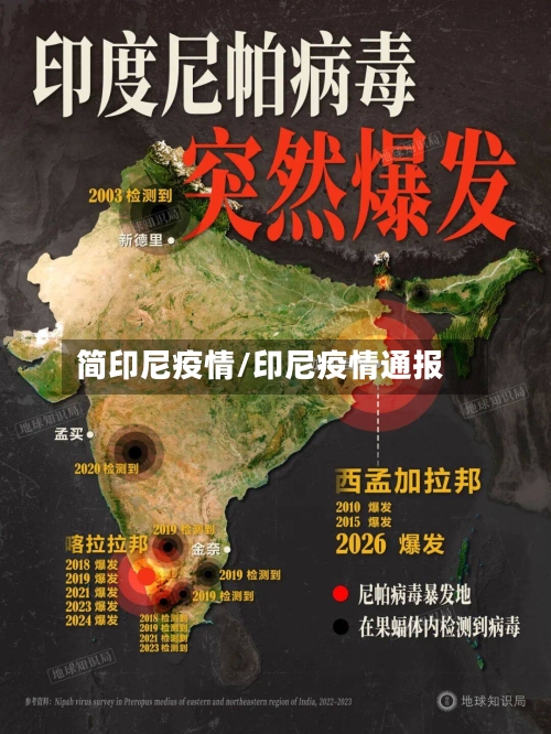 简印尼疫情/印尼疫情通报-第3张图片