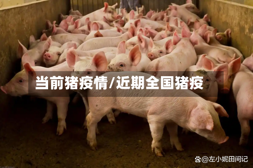 当前猪疫情/近期全国猪疫-第2张图片