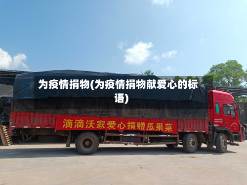 为疫情捐物(为疫情捐物献爱心的标语)-第3张图片
