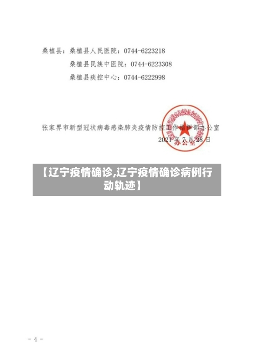 【辽宁疫情确诊,辽宁疫情确诊病例行动轨迹】-第1张图片