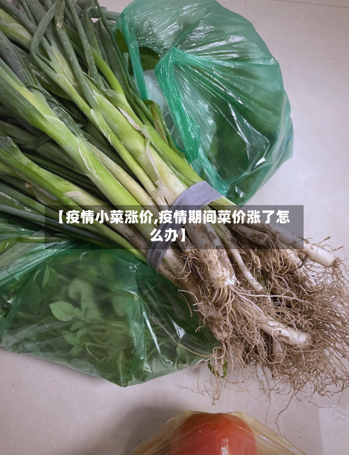 【疫情小菜涨价,疫情期间菜价涨了怎么办】-第1张图片