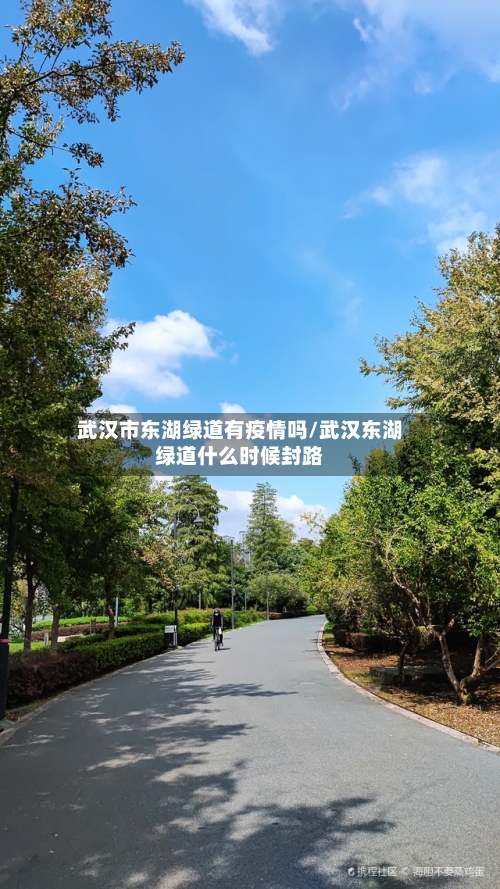 武汉市东湖绿道有疫情吗/武汉东湖绿道什么时候封路-第1张图片