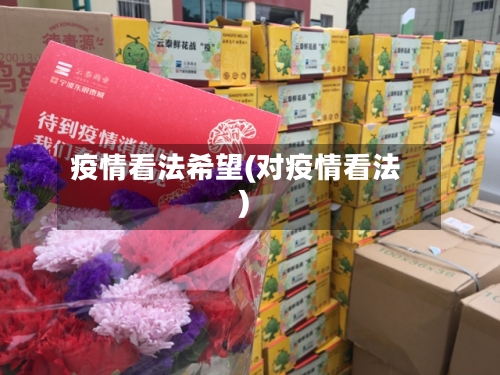 疫情看法希望(对疫情看法)-第1张图片