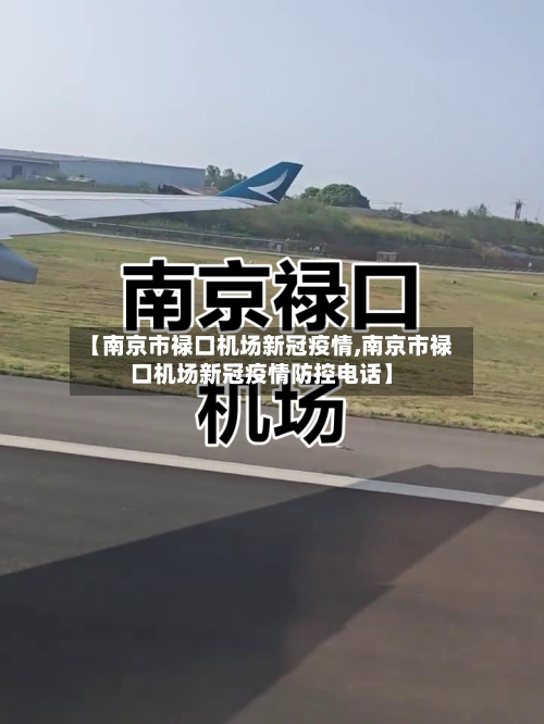 【南京市禄口机场新冠疫情,南京市禄口机场新冠疫情防控电话】-第3张图片
