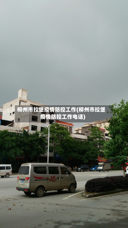 柳州市拉堡疫情防控工作(柳州市拉堡疫情防控工作电话)-第2张图片