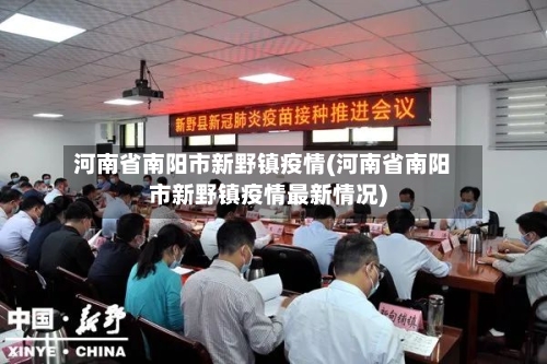 河南省南阳市新野镇疫情(河南省南阳市新野镇疫情最新情况)-第2张图片