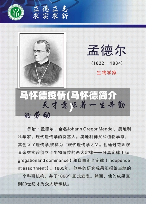 马怀德疫情(马怀德简介)-第1张图片