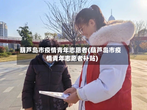 葫芦岛市疫情青年志愿者(葫芦岛市疫情青年志愿者补贴)-第2张图片