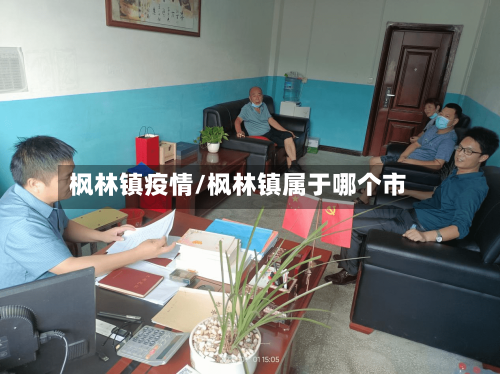 枫林镇疫情/枫林镇属于哪个市-第3张图片