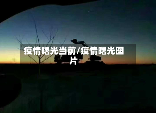 疫情曙光当前/疫情曙光图片-第2张图片