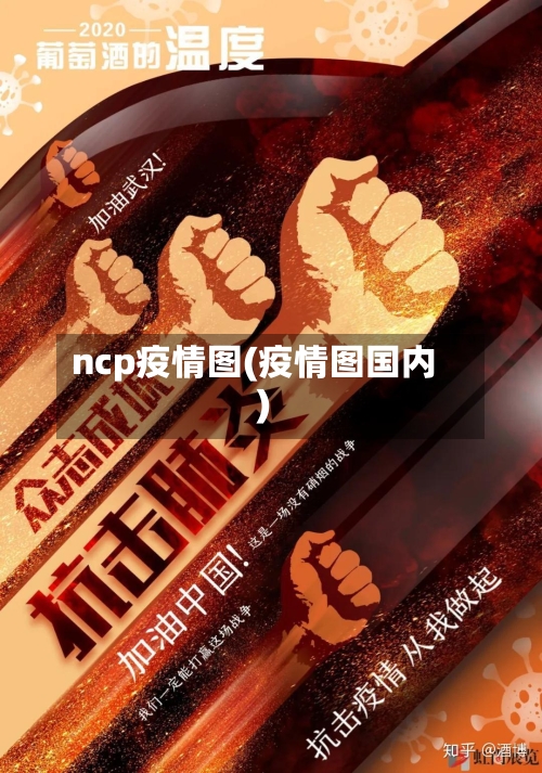 ncp疫情图(疫情图国内)-第2张图片