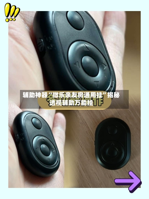 辅助神器“微乐亲友房通用挂”揭秘透视辅助万能挂-第3张图片
