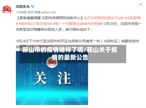 鞍山市的疫情啥样了呢/鞍山关于疫情的最新公告-第2张图片